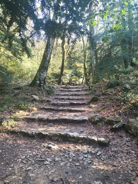 secret-provence-on-mary-magdalenes-path