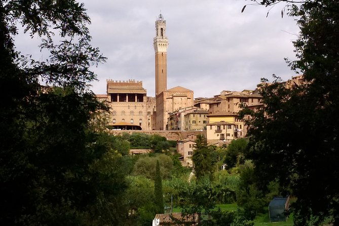 secret-siena-walking-tour-2