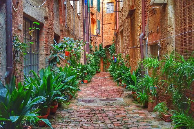 secret-siena-walking-tour-2