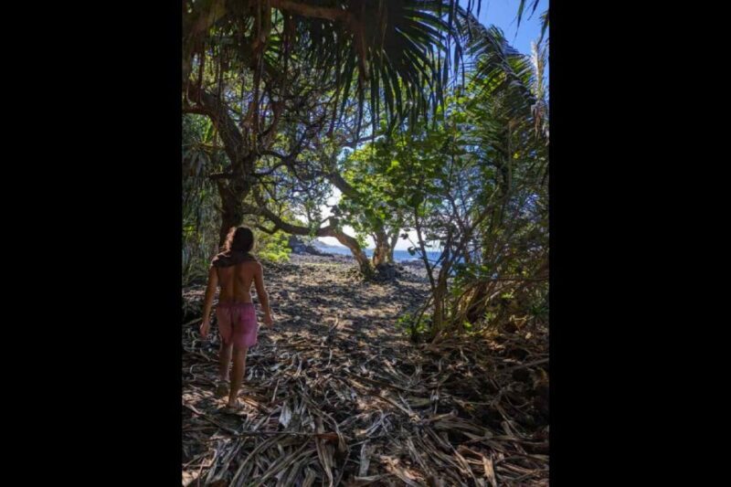 Secret Tide Pool Hike - Jungle & Coast - Private - Final Thoughts