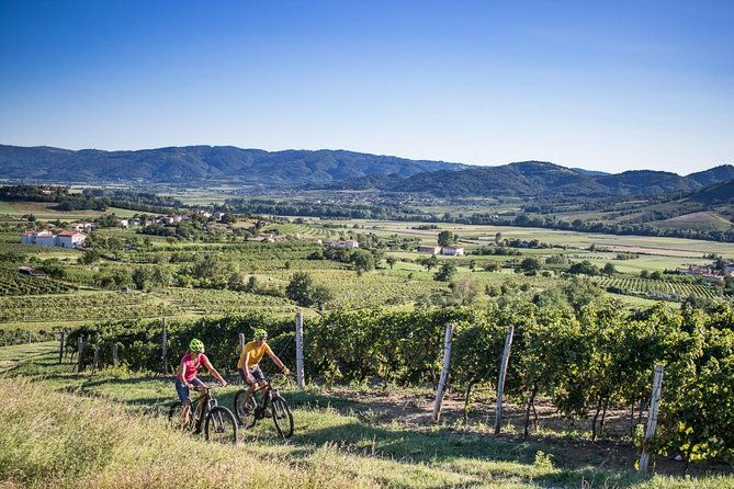 secret-vineyards-e-bike-tour-2