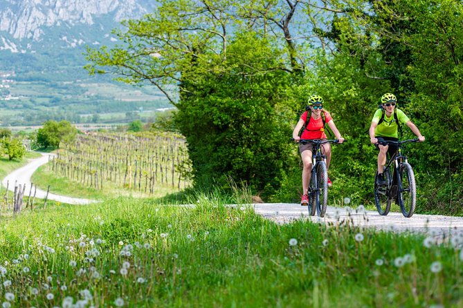 secret-vineyards-e-bike-tour