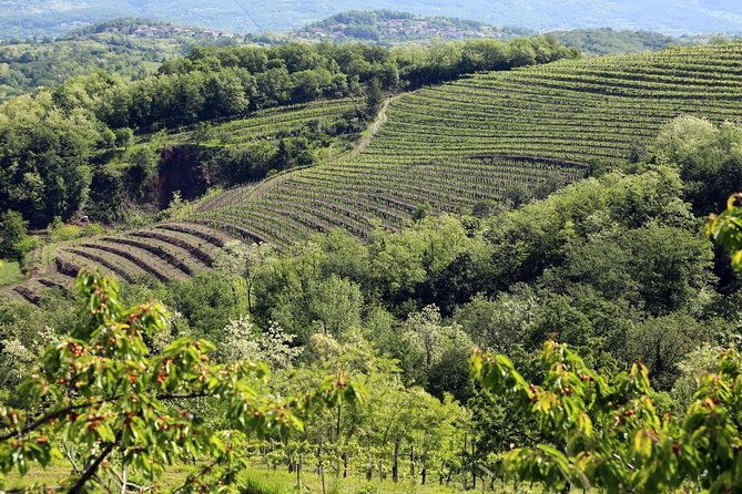 secret-vineyards-e-bike-tour