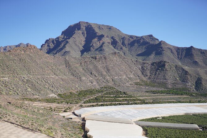 secret-volcano-tour-by-tuk-tuk-in-costa-adeje