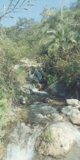 Secret Waterfall Trek - Exploring the Secret Waterfall Trek: A Detailed Look