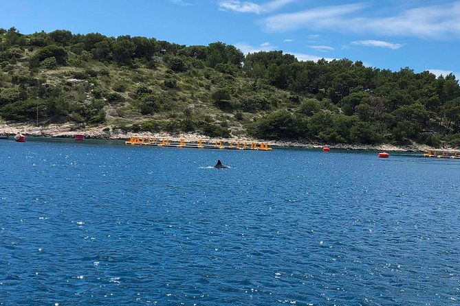 secrets-of-brac-and-solta-off-the-beaten-track-croatia-2