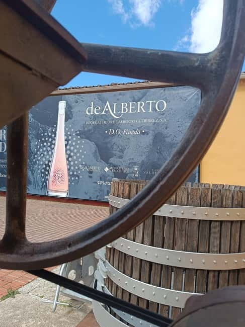 Secrets of Dorado Wine - The Practical Details: What to Expect and Considerations  