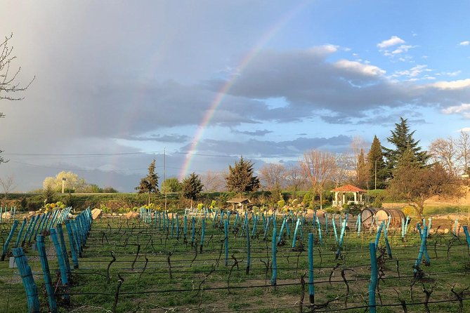secrets-of-kakheti-wine-home-cooked-lunch
