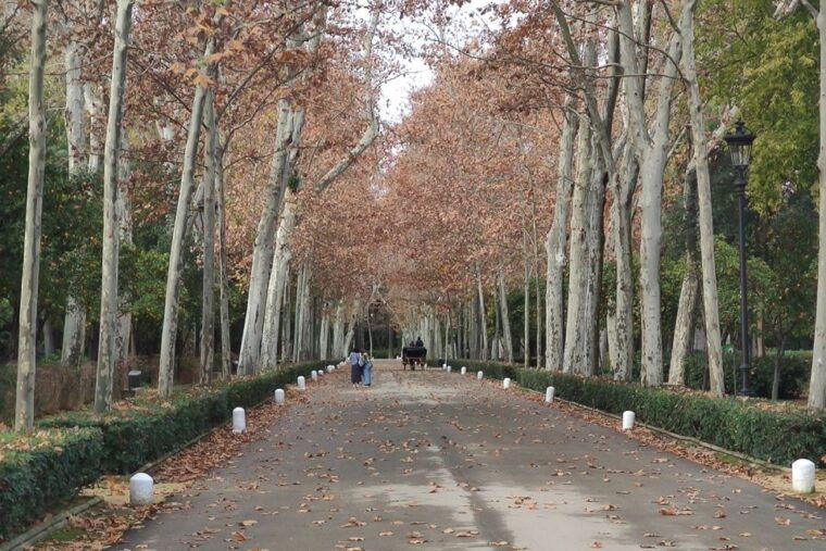secrets-of-maria-luisa-park-and-plaza-de-espana