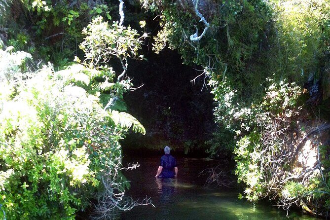 Secrets of Rotorua Lakes Boat Tour - Who Should Consider This Tour?