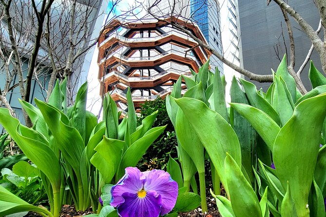 secrets-of-the-high-line