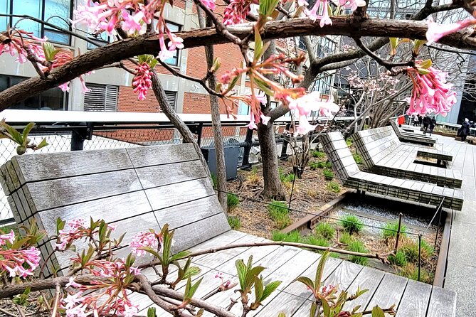 secrets-of-the-high-line