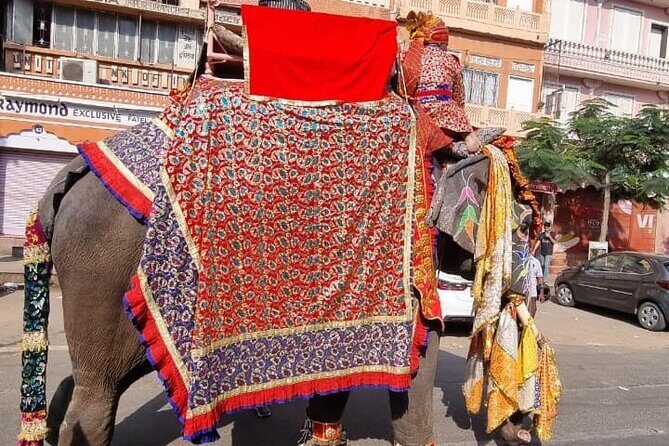 Secrets of the Pink City Old Jaipur Heritage Walking Tour - Who Will Love This Tour?