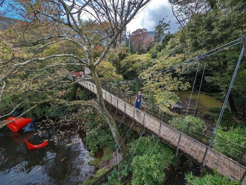 Secrets of Tokyo: Expert-Led Private Tour - Why Choose the Secrets of Tokyo Private Tour?