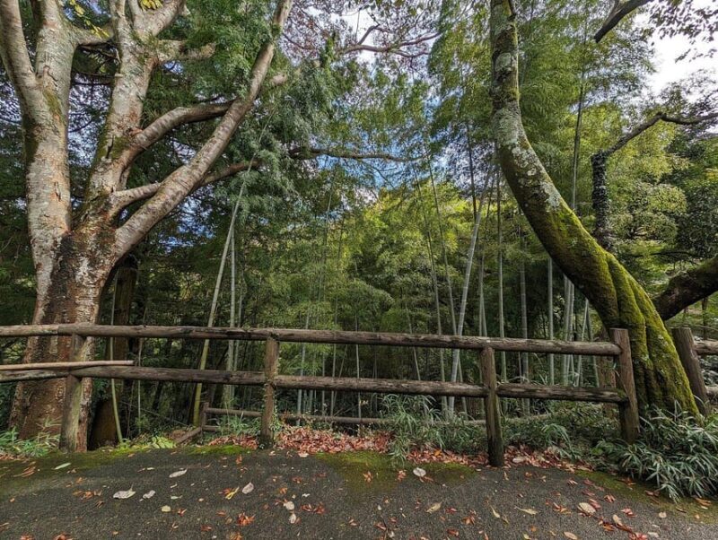 Secrets of Tokyo: Expert-Led Private Tour - Final Thoughts