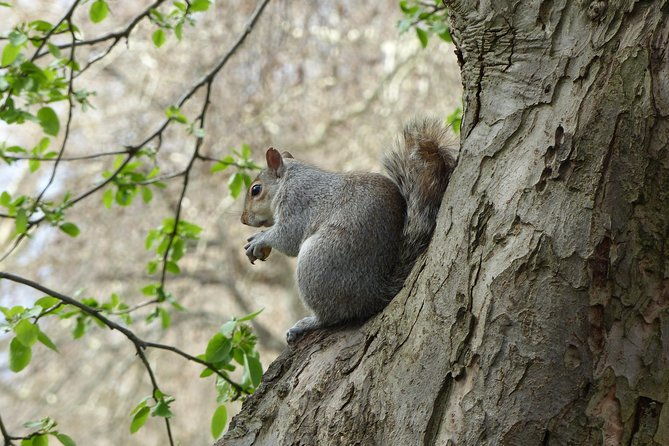 secrets-of-westminster-2