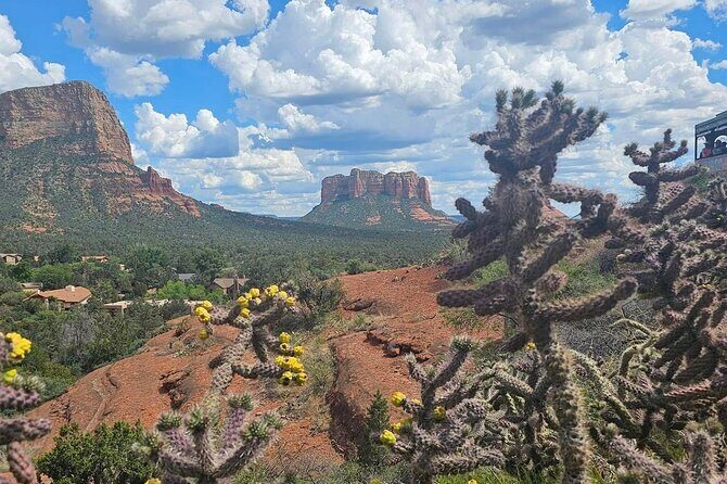 Sedona Magical Sightseeing Highlight Tour- 5 Stars - Who Will Love This Tour?