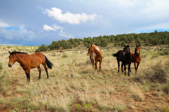 sedona-private-custom-tour