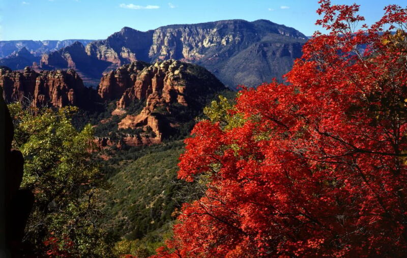 Sedona: PRIVATE Pavement 2-Hour Highlights Jeep Tour - In The Sum Up