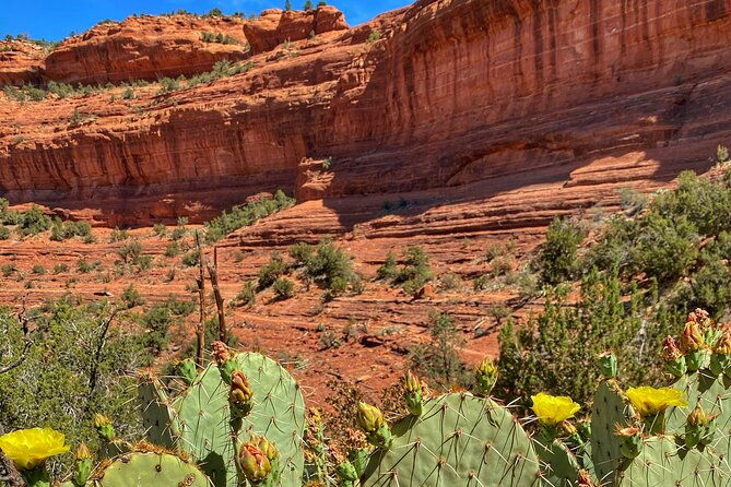 sedona-sacred-canyons-loop-hike-with-a-private-guide