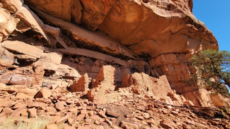Sedona: The Scientific and Spiritual Vortex Tour - The Guide and Group Experience