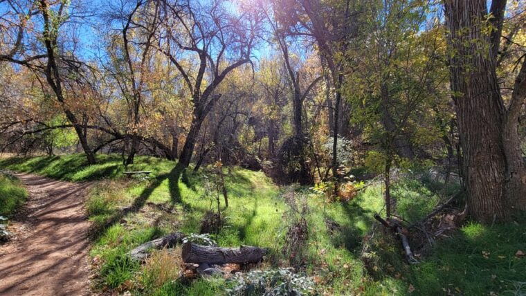 sedona-the-scientific-and-spiritual-vortex-tour