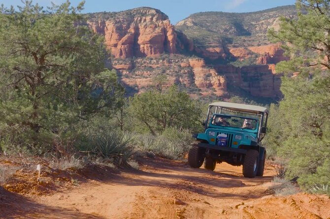 sedona-vortex-hike-private-jeep-tour-2-hour-mystic-earth