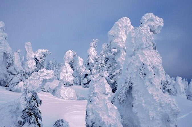 See Snow Monkeys on a Private Day Trip from Tokyo by Bullet Train - The Highlight: Jigokudani Snow Monkey Park