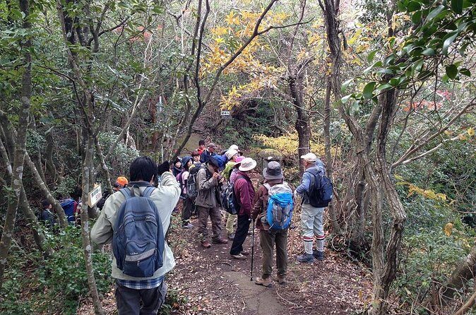 See Snow Monkeys on a Private Day Trip from Tokyo by Bullet Train - Logistics and Practicalities