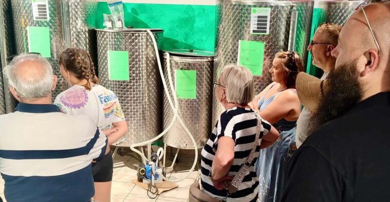 seggiano-extra-virgin-olive-oil-museum-visit-and-tasting