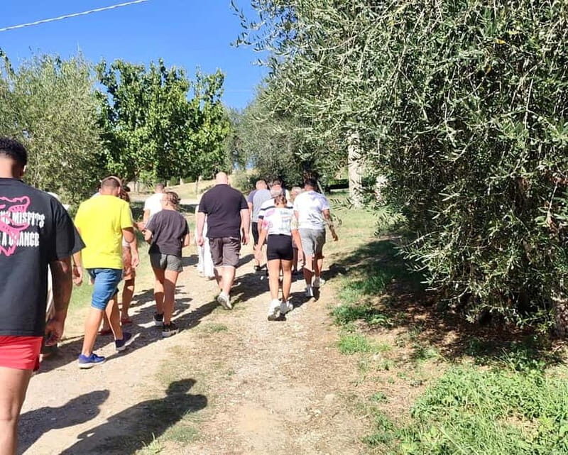 Seggiano: Guided Tour of the Olive Grove and Food Tasting - An In-Depth Look at the Tour Experience