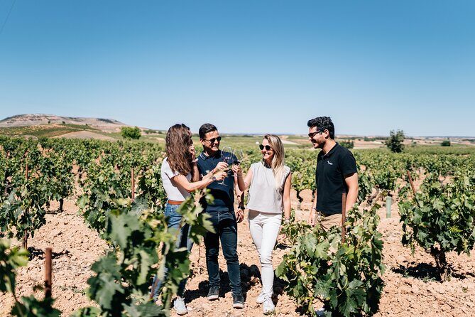 Segovia & Ribera del Duero Winery with Wine Tasting from Madrid - What You Can Expect from the Tour