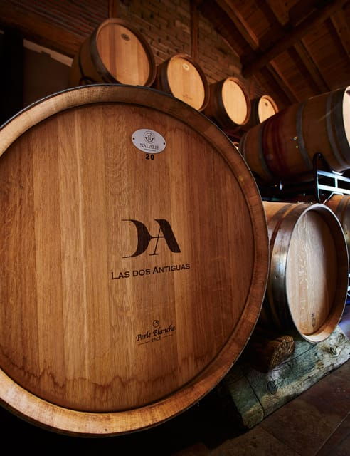 segovia-winery-tour-with-wine-tasting