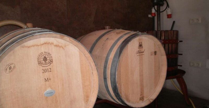 segovia-winery-tour-with-wine-tasting