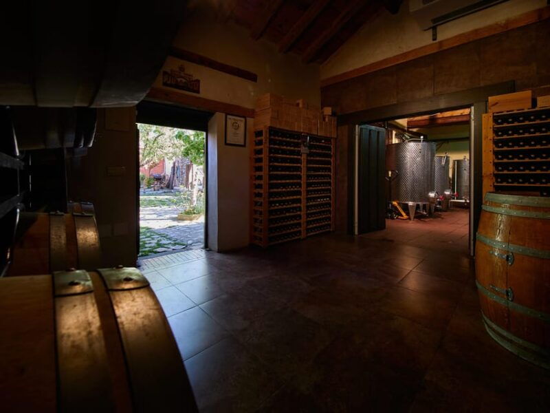 segovia-winery-tour-with-wine-tasting