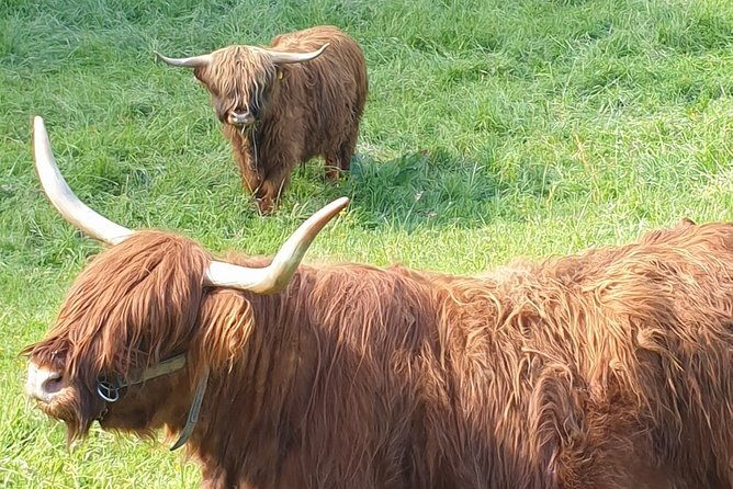 segway-tour-in-etzelsbach-with-eichsfeld-breakfast