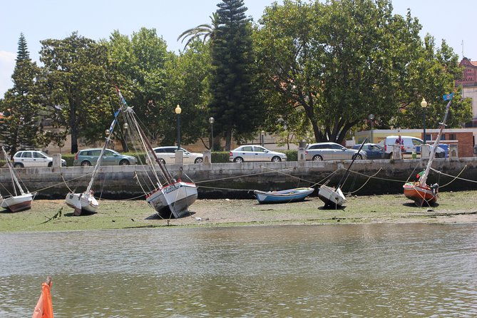 seixal-sailing-cruise-lunch-in-a-typical-restaurant