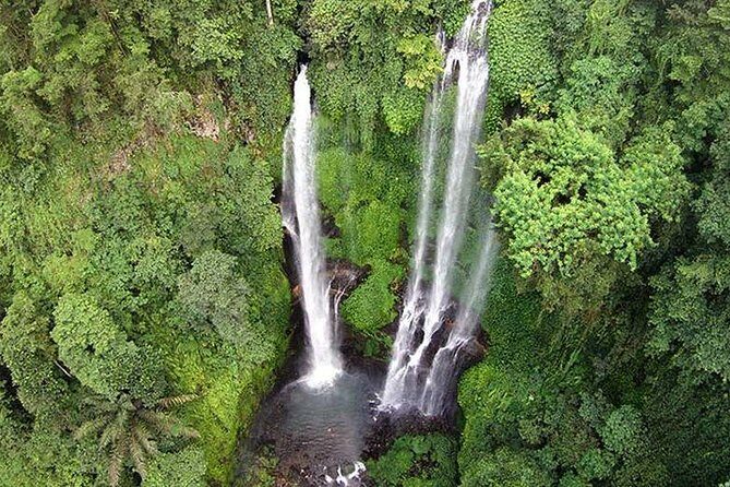 Sekumpul Bali Waterfall Tour - Authentic Insights from Reviews