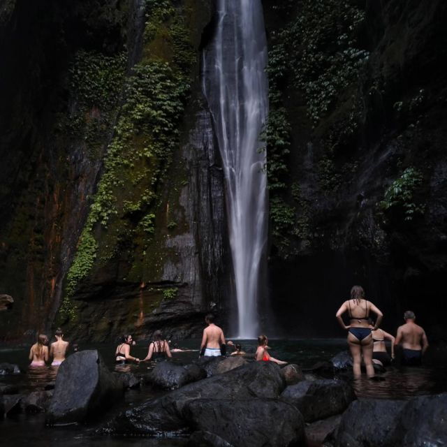 sekumpul-jungle-trekking