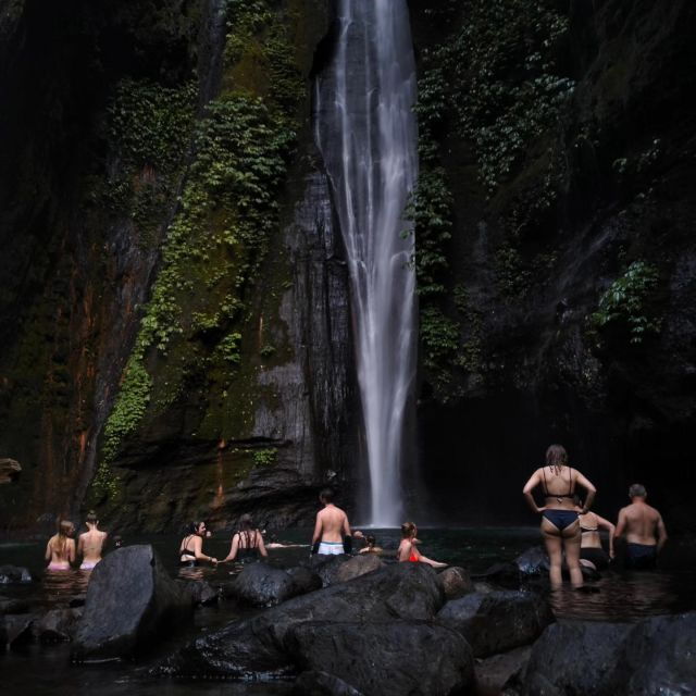 sekumpul-jungle-trekking