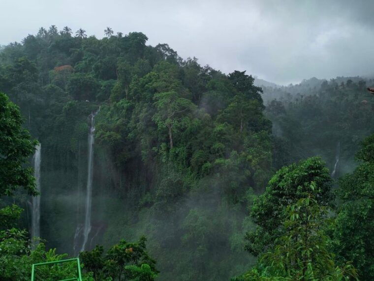 sekumpul-jungle-trekking