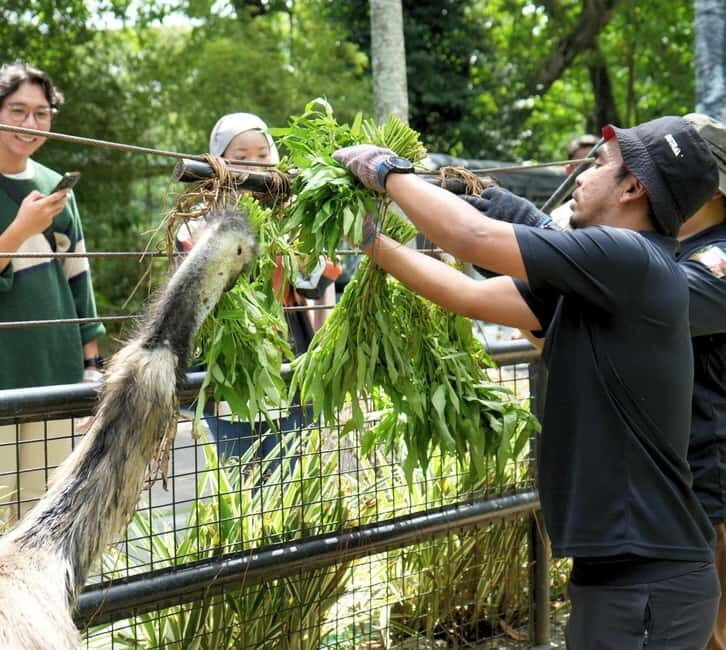 Selangor: Zoo Negara E-Ticket - Visitor Experience: Real Insights