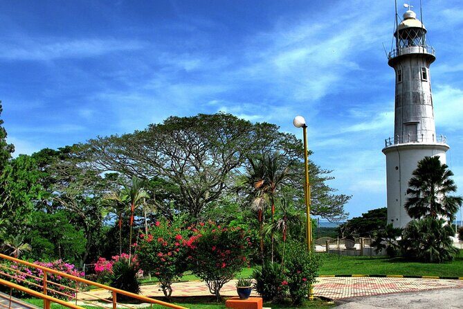 Selangors Fireflies, Kampung and Seafood - An In-Depth Look at the Selangors Fireflies, Kampung and Seafood Tour