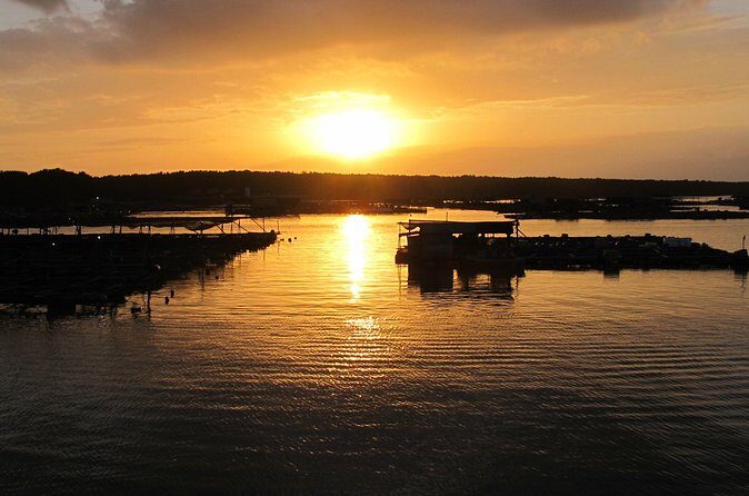 Selangors Fireflies, Kampung and Seafood Joint Tour - The Realities: Pros and Cons