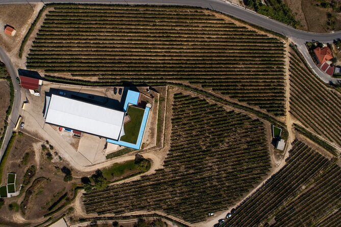 selection-tasting-quinta-de-santa-cristina-vinho-verde
