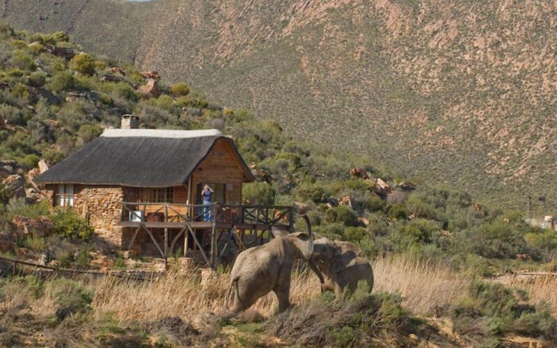 Self drive Aquila Safari Game Reserve Afternoon Game Drive - FAQ