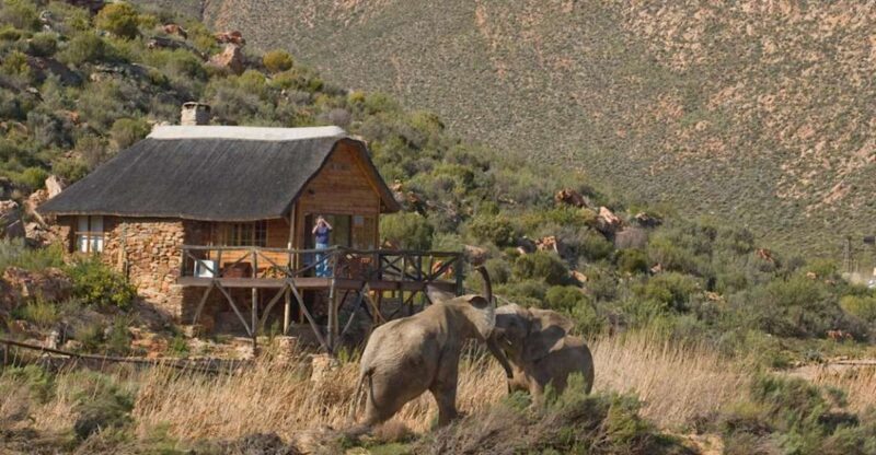 Self drive Aquila Safari Game Reserve Sunset Game Drive - Key Points