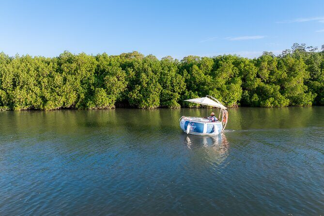 Self Drive BBQ eBoat Cruise with Onboard BBQ Denarau Fiji - Authentic Experiences From Reviews