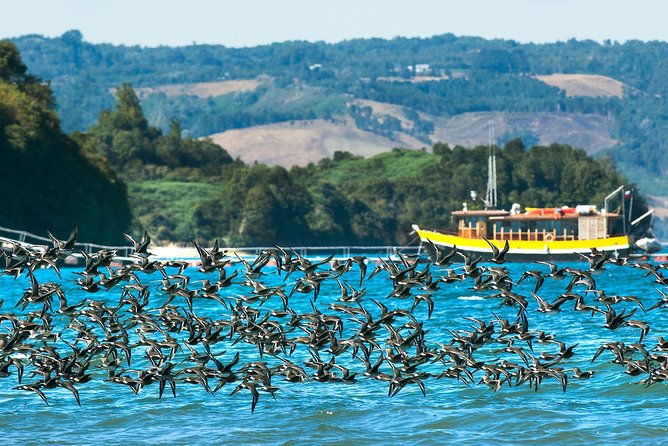 self-drive-experience-at-chilean-lake-district-5-days