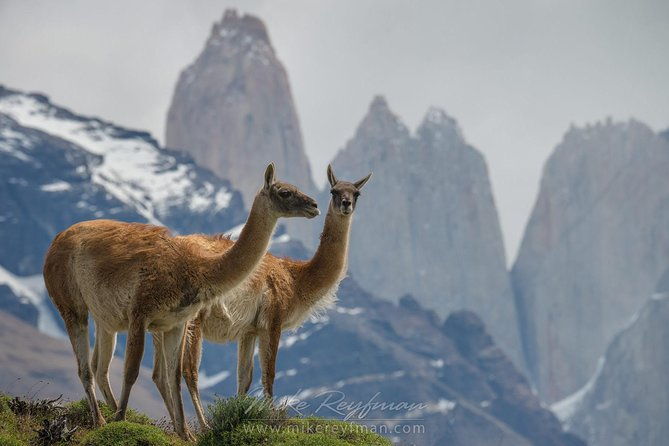 self-drive-experience-in-torres-del-paine-national-park-6-days